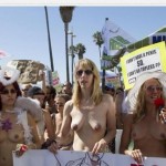go topless manifestazione donne seno nudo