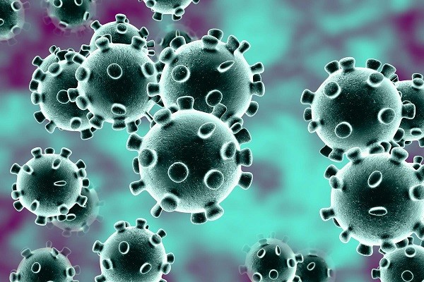 sesso e coroanvirus come regolarsi